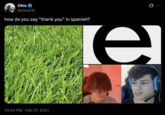 X user @OkisFN tweeted, "how do you say “thank you” in Spanish?" alongside a photo of grass, the letter "E" and YouTuber "Stable Ronaldo":https://knowyourmeme.com/memes/people/stable-ronaldo. The post marks one of the earliest known posts featuring the "Grass-E-As" joke online. 
