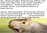 Sir Alexander Fleming after he left his lab for his two-weeks vacation, leaving behind a mold that contaminates a bacteria. Also Alexander Fleming when he returned back and noticed that said mold prevented the growth of the bacteria:
