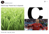 X user @peak_wessi tweeted, "How to say "Thank You" in Spanish" alongside a photo of grass, the letter "C" and a photo of "Christiano Ronaldo":https://knowyourmeme.com/memes/people/cristiano-ronaldo. The post gathered over 4,000 likes in three years.