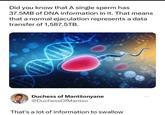 Did you know that A single sperm has 37.5MB of DNA information in it. That means that a normal e---------- represents a data transfer of 1,587.5TB. Duchess of Mantšonyane @DuchessOfMantso That's a lot of information to swallow