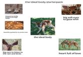 hooves to easily frollick through fields the ideal body starterpack beautiful spotted fur to protect skin big ears to listen to the rain and birds the ideal body big soft eyes to gaze with heart full of love