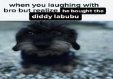 when you laughing with bro but realize he brought the diddy Labubu A meme captioned, "when you laughing with bro but realize he brought the diddy Labubu." The meme uses an image of a terrier dog.