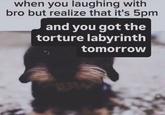when you laughing with bro but torture labyrinth is tomorrow when you laughing with bro but realize that it's 5pm and you got the torture labyrinth tomorrow WW ˊ