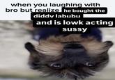 lowk acting sussy when you laughing with bro but realize he bought the diddy labubu and is lowk acting sussy