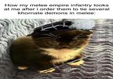 How my melee empire infantry looks at me after i order them to tie several khornate demons in melee: