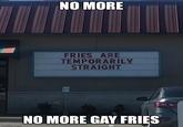 NO MORE FRIES ARE TEMPORARILY STRAIGHT 10 imaflip.com NO MORE GAY FRIES