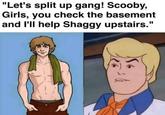 "Let's split up gang! Scooby, Girls, you check the basement and I'll help Shaggy upstairs."