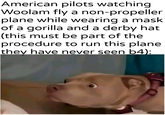 American pilots watching Woolam fly a non-propeller plane while wearing a mask of a gorilla and a derby hat (this must be part of the procedure to run this plane they have never seen b4):