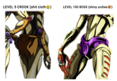 LEVEL 5 CROOK (s--- cloth 23 LEVEL 100 BOSS (shiny undies ()
