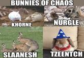 BUNNIES OF CHAOS KHORNE BLOUD HAVEN CHIFF AUNION OFFICER SLAANESH NURGLE TZEENTCH