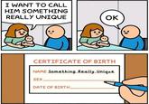 I WANT TO CALL HIM SOMETHING REALLY UNIQUE OK CERTIFICATE OF BIRTH NAME Something Really Unique DATE OF BIRTH.