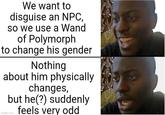 We want to disguise an NPC, so we use a Wand of Polymorph to change his gender Nothing about him physically changes, but he(?) suddenly feels very odd imgflip.com