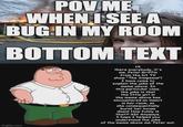 POV ME WHEN I SEE A BUG IN MY ROOM BOTTOM TEXT img.com Hi there everybody, it's me, Peter Griffin from the hit TV show "The Simpsons"! I have come to explain the joke of the meme above. In this particular case, the joke is that the little girl in the meme above has encountered an insect in her room, so she consequentially burnt her house down! How funny is that?! XD! Anyways. I hope I helped you understand the joke of the meme above me. Peter out.