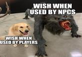 WISH WHEN USED BY NPCS WISH WHEN USED BY PLAYERS