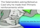 The Salamanders asking Belisarius Cawl why he made their Primaris reinforcements white excuse me what the f---