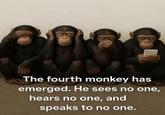 The fourth monkey has emerged. He sees no one, hears no one, and speaks to no one.