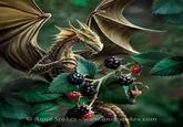 Artwork of a blackberry dragon created by gothic and fantasy artist Anne Stokes and shared on her "Instagram":https://knowyourmeme.com/memes/sites/instagram account in 2020. The image later became the subject of "memes":https://knowyourmeme.com/memes/memes on "Reels":https://knowyourmeme.com/memes/sites/instagram-reels and "TikTok":https://knowyourmeme.com/memes/sites/tiktok, spawning several Fruit Dragon "viral videos":https://knowyourmeme.com/memes/viral-videos.