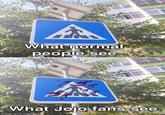 A What normal people see What Jojo fans see made with mematic