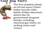 Cool bug Fact's The first airplane attack on US soil wasn't Pearl Habor but the 1921 Battle of Blair Mountain where the US government dropped bombs, including chemical gas shells, on striking union coal miners.
