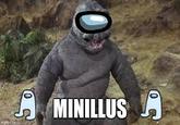 MINILLUS 0