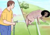 A meme of a man spraying Ellie with a hose.