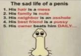 The sad life of a penis 1. His hair is a mess 2. His family is nuts 3. His neighbor is an a------ 4. His best friend is a p---- 5. His owner beats him DAILY
