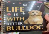Yalong LIFE ☀IS WITH BETTER BULLDOC m abine