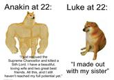 Anakin at 22: Luke at 22: "I just rescued the Supreme Chancellor and killed a Sith Lord. I have a beautiful, loving wife and two great best friends. All this, and I still haven't reached my full potential yet." imaflin.com "I made out with my sister"