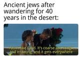 Ancient jews after wandering for 40 years in the desert: I don't like sand. It's coarse and rough and irritating, and it gets everywhere