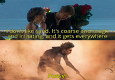 don't like sand. It's coarse and rough- and irritating, and it gets everywhere P----!