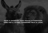 GIVE A DONKEY TOO MUCH ATTENTION, AND HE'LL START THINKING HE'S A LION.