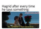 Hagrid after every time he says something: u/Puzzleheaded Step468 No. I shouldn't have done that