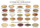 TYPES OF CEREAL GRAINS ONLY FOODS TRUE CEREAL GRAINS Proso Millet Barley Japanese Millet Maize (Corn) Foxtail Millet Finger Millet Pearl Millet Job's Tears Wild Rice Kodo Millet Spelt Rice Triticale Millet Teff Fonio Sorghum Rye Oats Wheat PSEUDOCEREAL GRAINS Quinoa Chia Amaranth Kaniwa Buckwheat