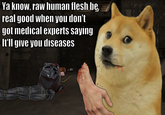Ya know, raw human flesh be real good when you don't got medical experts saying It'll give you diseases