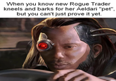When you know new Rogue Trader kneels and barks for her Aeldari "pet", but you can't just prove it yet.