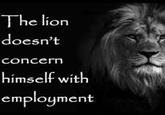 The lion doesn't concern himself with employment