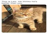 This is Leo. He thinks he's better than you