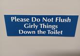 Please Do Not Flush Girly Things Down the Toilet