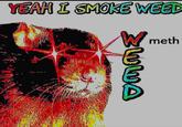 YEAH I SMOKE WEED meth ZWWA