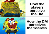 245 How the players perceive the DM How the DM perceives themselves
