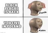 BLACK PLAGUE IS BACK Panik YOU LIVE IN POLAND Kalm imgflip.com
