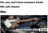 Me: you can't have anymore treats My cat: meow Me: UNDERSTANDABLE. HAVEA Treat