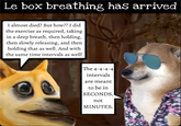 Le box breathing has arrived I almost died? But how?? I did the exercise as required, taking in a deep breath, then holding, then slowly releasing, and then holding that as well. And with the same time intervals as well! The 4-4-4-4 intervals are meant to be in SECONDS, not MINUTES.