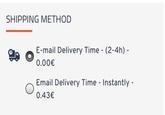 SHIPPING METHOD ge E-mail Delivery Time - (2-4h) - 0.00€ Email Delivery Time - Instantly - 0.43€