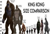 100M 90M 80M 70M 60M 50M 40M 30M 20M King Kong (2005) 10M - 7 meters OM Godzilla vs Kong 102 meters Skull Island 80-90 meters KING KONG SIZE COMPARISON OR Kong Skull Island 31.7 meters King Kong (1933) 15 meters King Kong (1976) 15 meters King Kong lives 18 meters King Kong escapes 20 meters King Kong vs Godzilla 45 meters Suko 45 meters Godzilla (1954) 50 meters