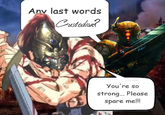 Any last words Custodian? You're so strong... Please spare me!!!