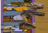 Dinosaurs Synapsids Dinosaurs Mammals Dinosaurs