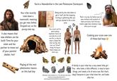You're a Neanderthal in the Late Pleistocene Starterpack Being told by the tribe elders to get a *real* job like knapping, hunting or gathering after you said you wanted to be a cave artist "Back in my day, the fashion was to wear necklaces with pendants of shells and bones. You'll find your modern eagle talon necklaces cringe, when you're my age." It also means that new shelters can be built! Time for your sister and her partner to move out of your parents' shelter, hm? Your tribe recently took down a mammoth, meaning you get new clothes. Dripped out, as the young ones say. Your cousin and his weird-looking boyfriend. You're not sure why he's so tall and thin, or why his head is shaped like that, but boy, that man can *throw* things. As long as they're happy, you don't care. D Cooking your scran over one of these bad boys Playing all the mid- pleistocene classics on this bad boy E F G H A family in your tribe has a very sweet little girl Tina who looks a little different, is slow to learn - things, and needs a lot of extra care. But that's Mercedes Conde-Valverde et al., The child who lived: Down okay! Everyone in your tribe loves her, and looks syndrome among Neanderthals?. Sci. Adv.10,eadn9310(2024).DOI:10.1126/sciadv.adn9310 after her.
