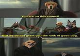 You are on this council... But we do not grant you the rank of good dog.
