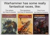 Warhammer has some really fantastical races, like: The aztecs The egyptians The fr*nch but they're lizards but they're skeletons but they're humans. WARHAMMER LIZARDMEN WARKAMMER MANES TOMB KINGS WARHAMMER BRETONNIA GAMES WORKSHOP
